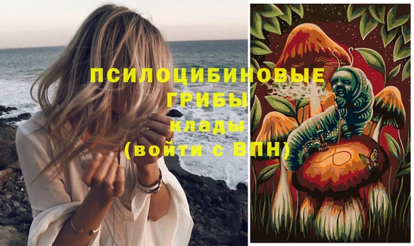 твердый Балахна