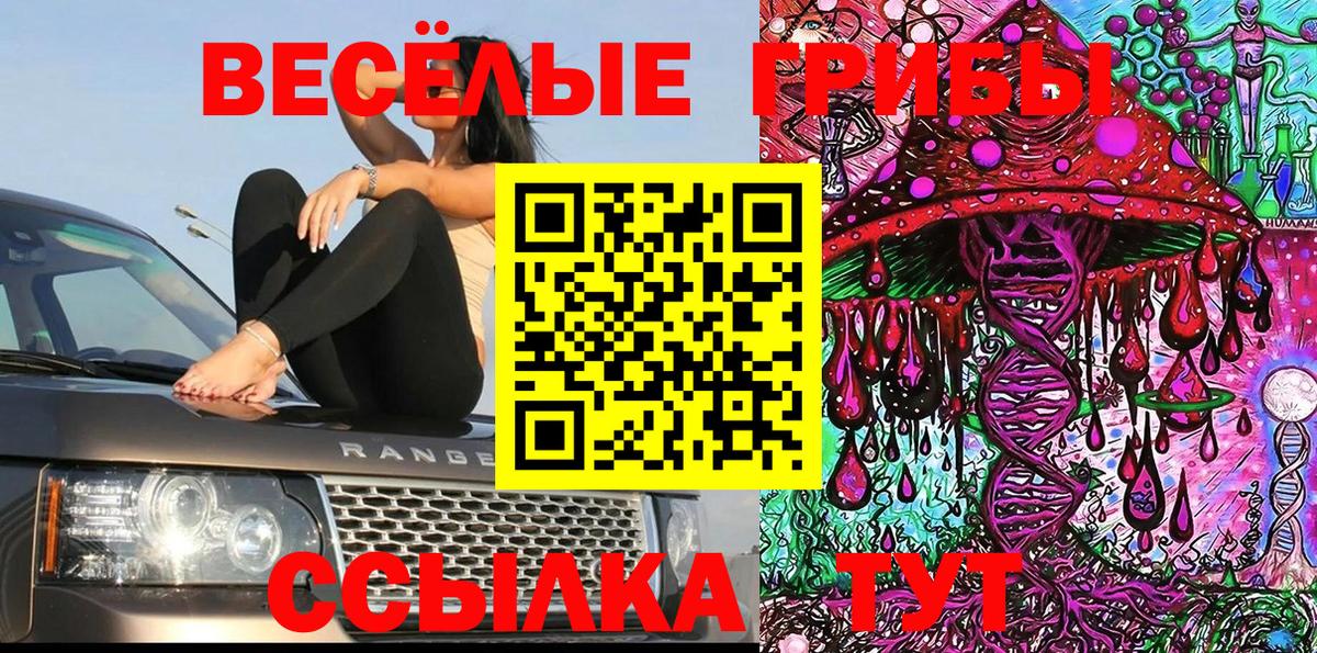Псилоцибиновые грибы мицелий Белорецк